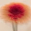 arcoのサムネイル