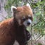 あじこのサムネイル