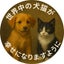 画像 来世はねこがいいのユーザープロフィール画像