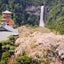 実力派鑑定師　龍神のサムネイル