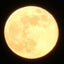 ムーンのサムネイル