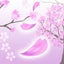 sakuraのサムネイル