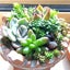 多肉にハマ子　日々日記のサムネイル