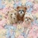 1歳で来たシーズーミッキーと2匹の兄姉犬