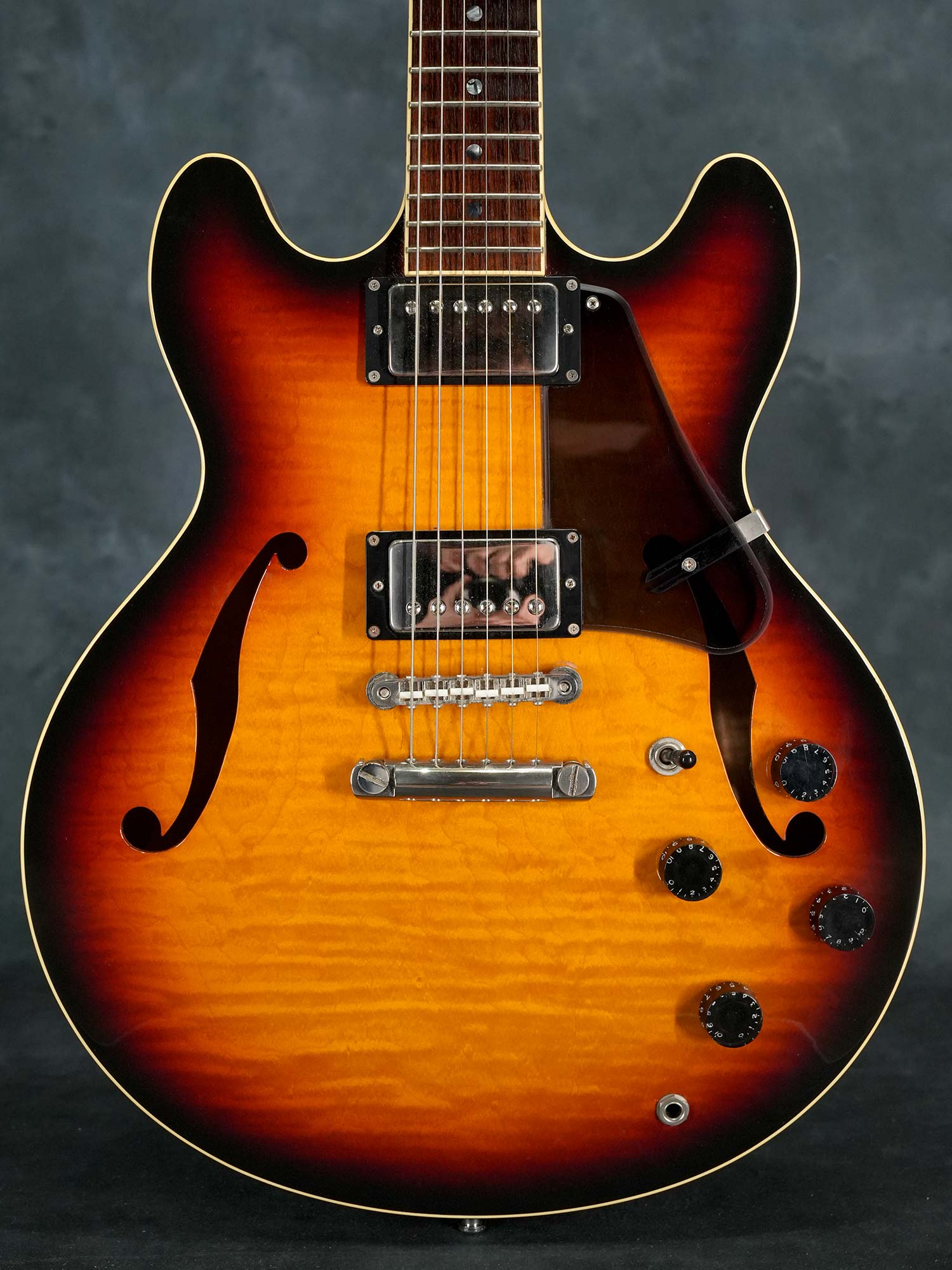 Eastman T145SM/D | さすらいのソロキャンパー