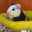 画像 北海道住みの生き物ブログ✏️のユーザープロフィール画像