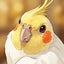 画像 ひまわりのブログのユーザープロフィール画像