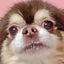 画像 *miyasara*推し活のブログのユーザープロフィール画像