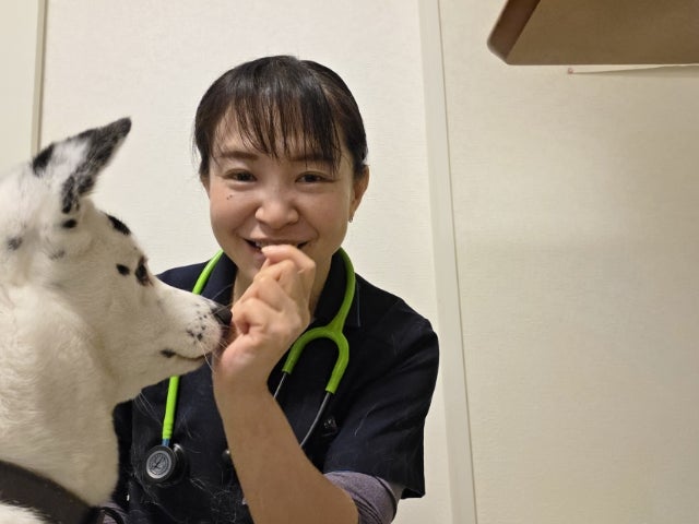 ポチの車椅子さんに行ってきました | え！犬に鍼灸 !?