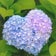 ♡マイペースつぶやき♡