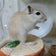 イザナギの多趣味でゴメンネ！