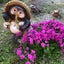 画像 思いつくままにのユーザープロフィール画像