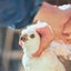 画像 mainneko2598のブログのユーザープロフィール画像