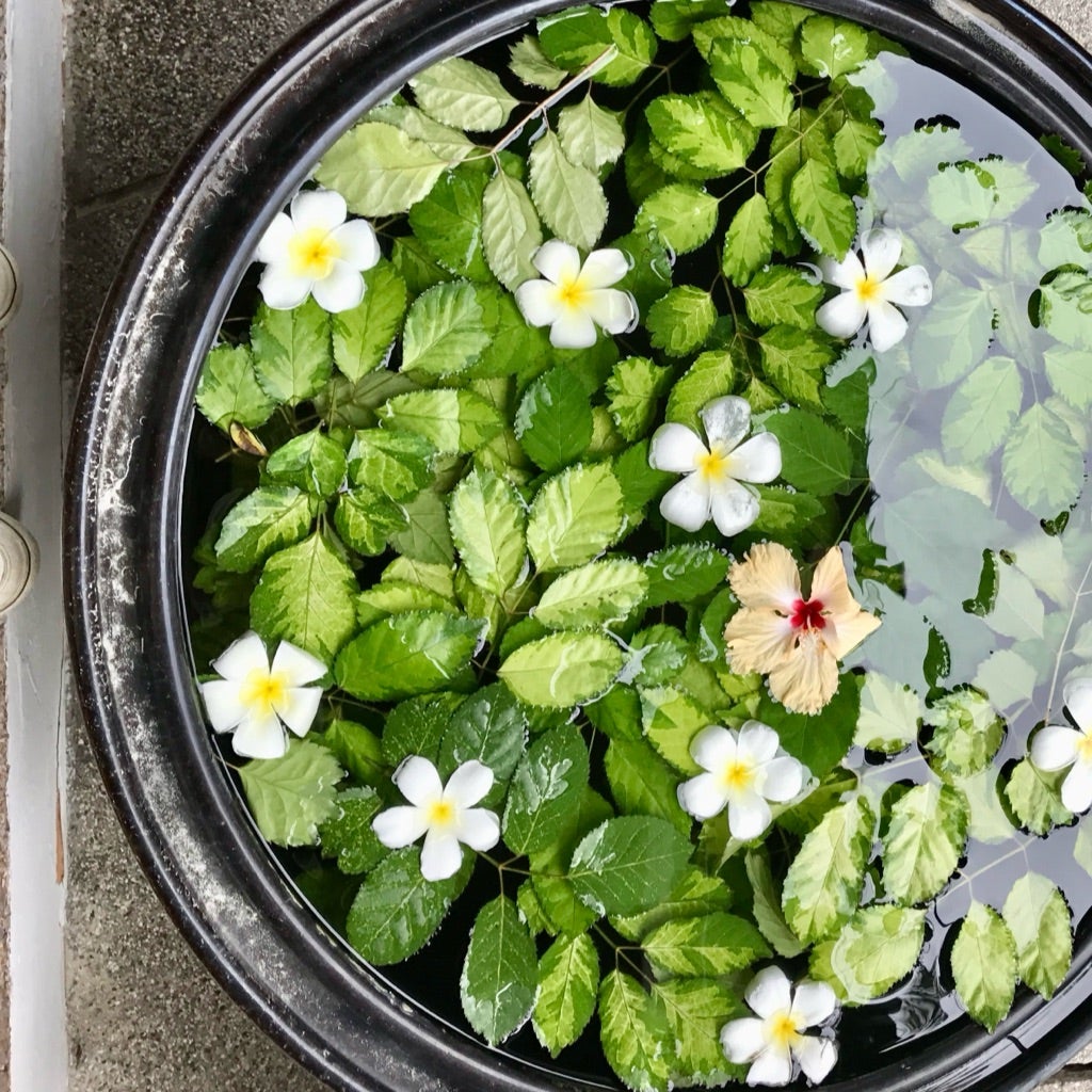 ひとみ カラダから”私”に戻る暮らし