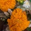 画像 自死遺族になりましたのユーザープロフィール画像