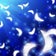 音霊〖おとだま〗と言霊〖ことだま〗の癒し。〜時々インコ〜