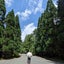 画像 ～梛沙の道標～のユーザープロフィール画像