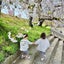 画像 3歳で息子が若年性特発性関節炎と診断されました。のユーザープロフィール画像