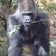 採集と飼育と