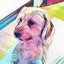 画像 　ちゃぶろぐ　～時計台のある街から～のユーザープロフィール画像