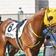 キャロットクラブで、始めました１口馬主生活