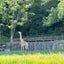 画像 愛華のブログ　by猫塚愛華のユーザープロフィール画像