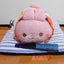 画像 9-momoiro-usagiのブログのユーザープロフィール画像