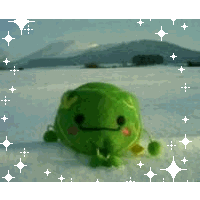 キャベツ
