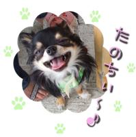 みゅーちゃん