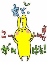 なんでも