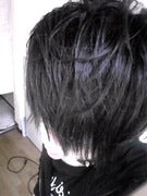 トイプー