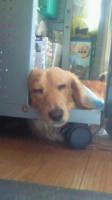 なおき→なおき