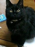 アリアン