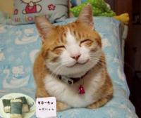 ｋёвⅰй