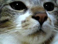 ゅん