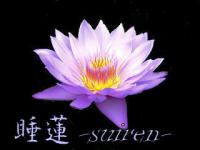 睡蓮-suiren-