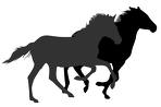 競馬情報局ＪＡＰＡＮ