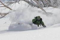 Niseko Powder Guide
