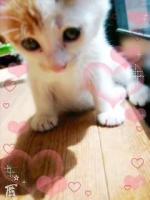 (ω)/