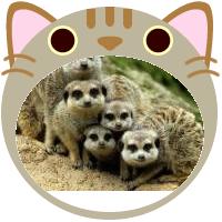 ユウリ