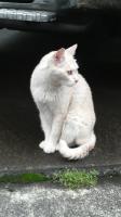 屑斗