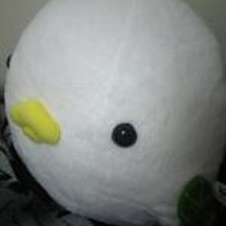 春輝さんのプロフィールページ