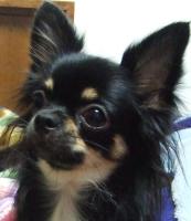 ☆mayumi☆