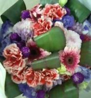 藍華