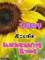 しおり