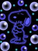 …まめ…
