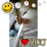 maro