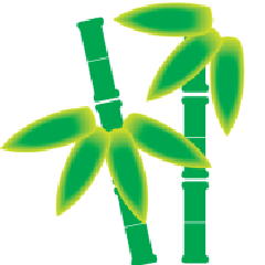 竹と笹とバンブーの違い Kaguya かぐや の竹の千物語