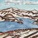 阿岸鉄三“わたしの視点・視座・視野”