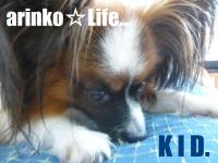 arinko..☆